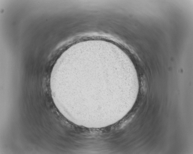 X0000086111494200704202253