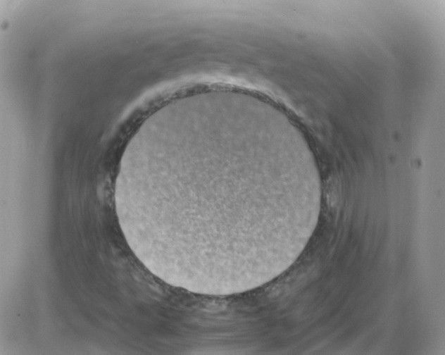 X0000086111495200704202253