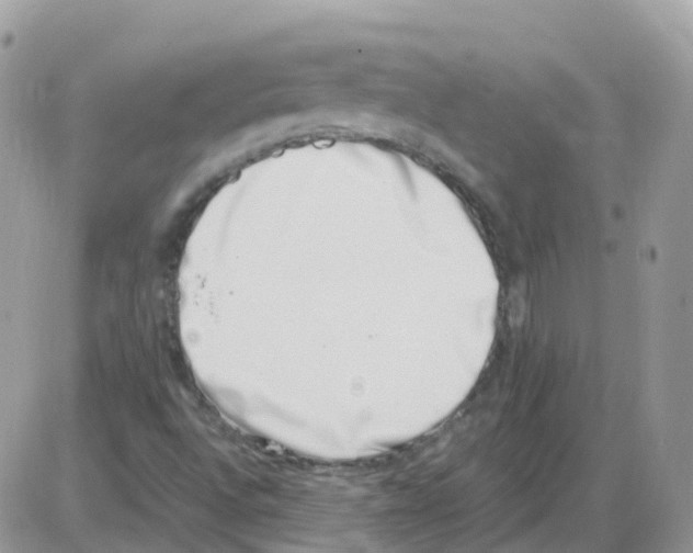 X0000086111496200704202253