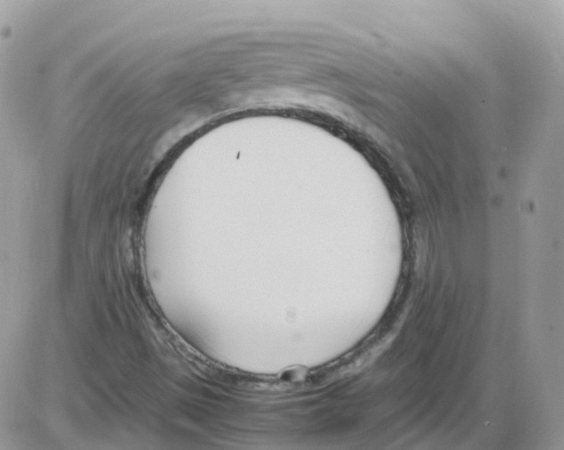 X0000086111497200704202253