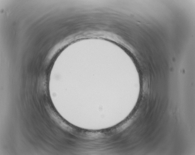 X0000086111498200704202253