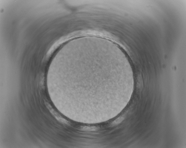 X0000086111499200704202253