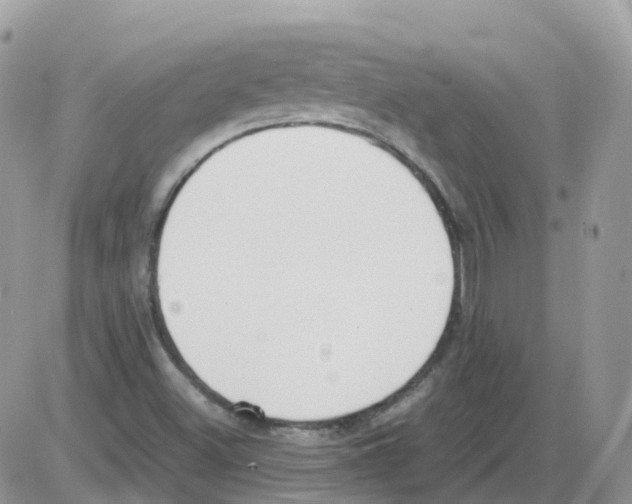 X0000086111500200704202253