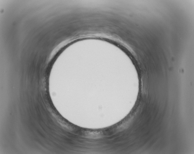 X0000086111501200704202253