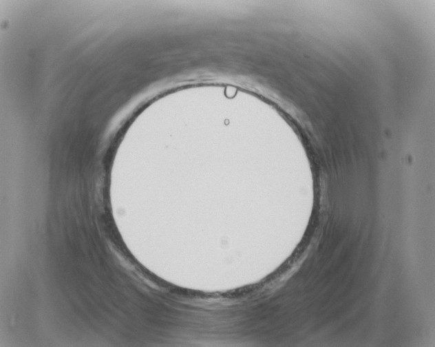 X0000086111502200704202253