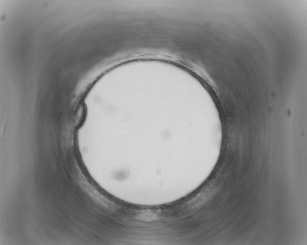 X0000086111504200704202253