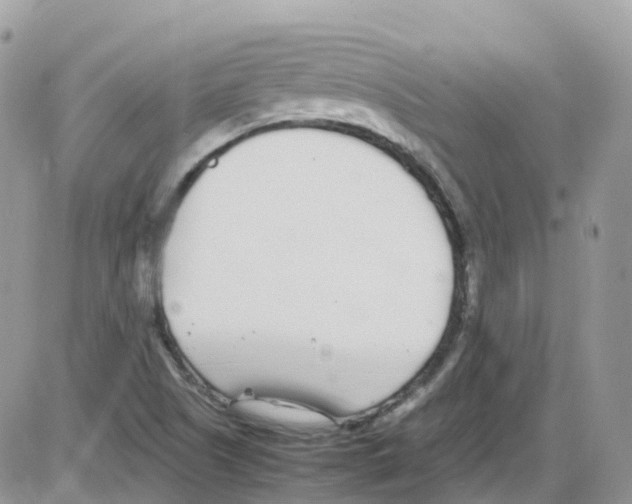 X0000086111505200704202253