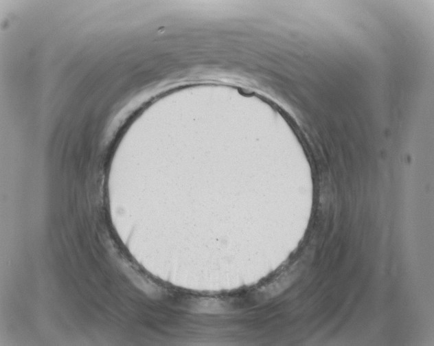 X0000086111507200704202253