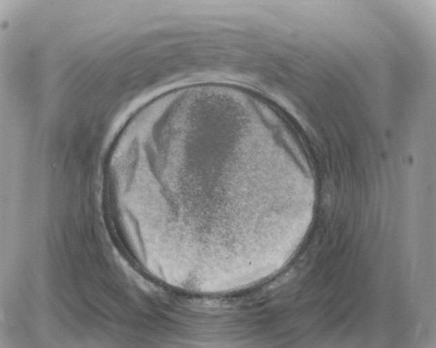 X0000086111508200704202253