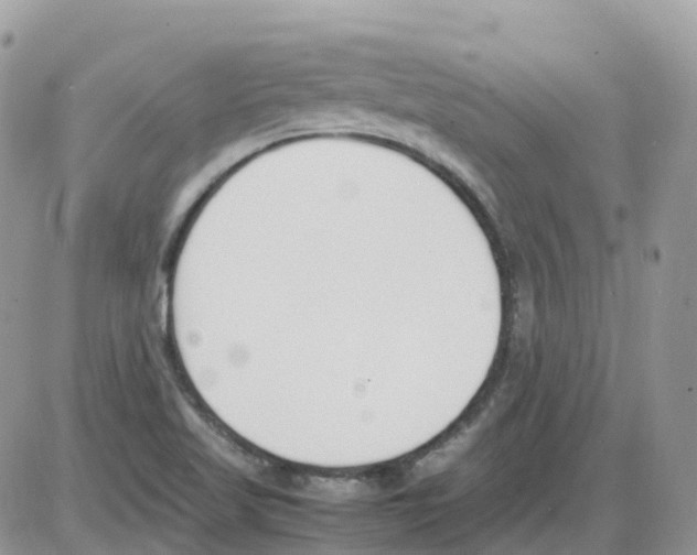 X0000086111509200704202253