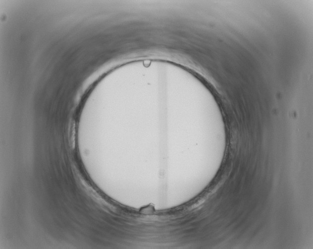 X0000086111510200704202253