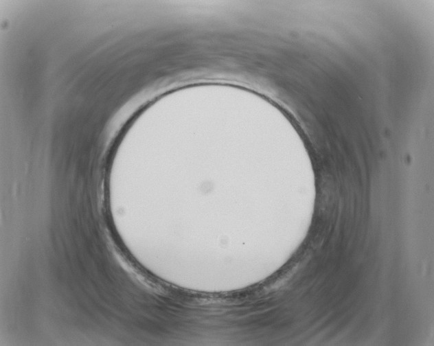 X0000086111511200704202253