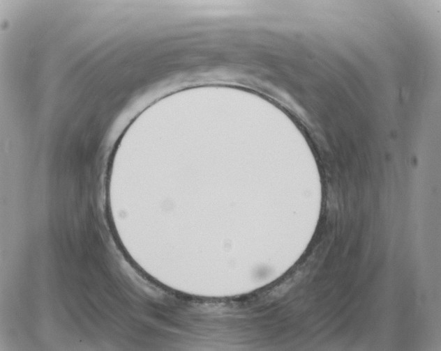 X0000086111512200704202253