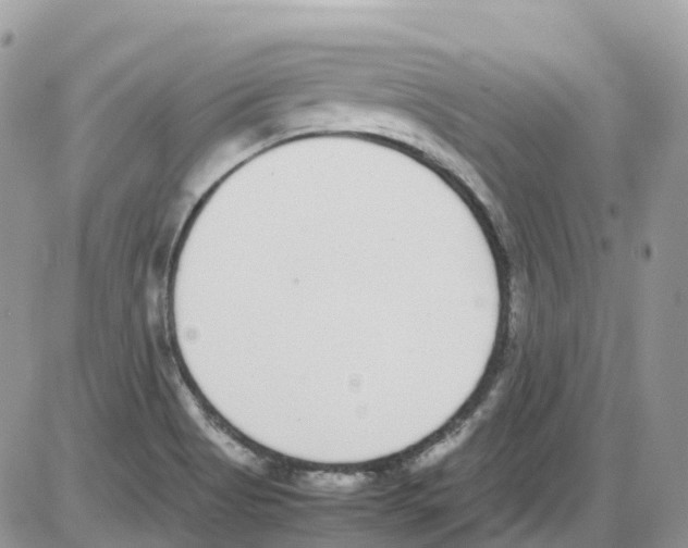 X0000086111513200704202253