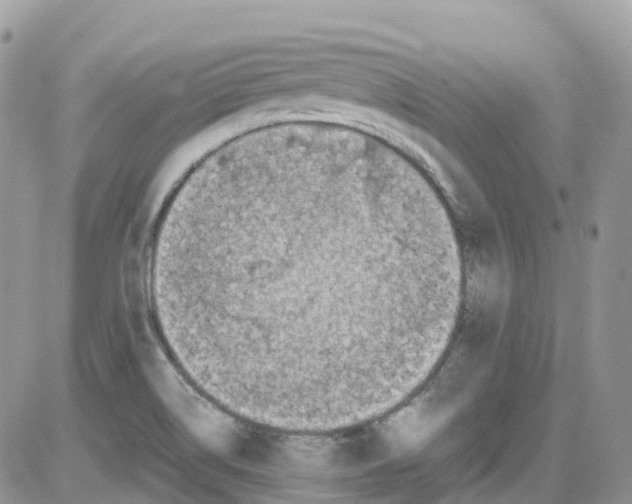 X0000086111514200704202253