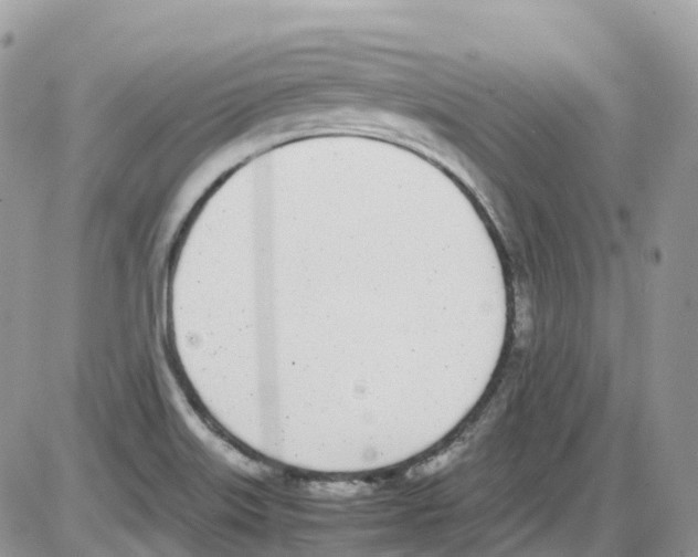 X0000086111515200704202253