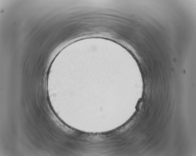 X0000086111516200704202253