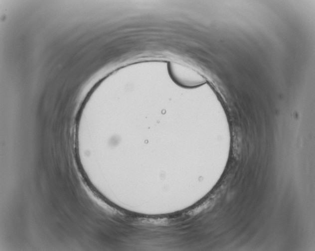 X0000086111519200704202253