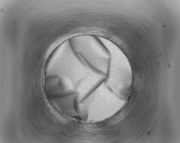 X0000086111520200704202253