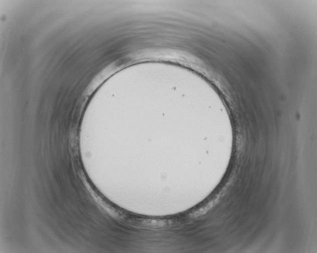 X0000086111521200704202253