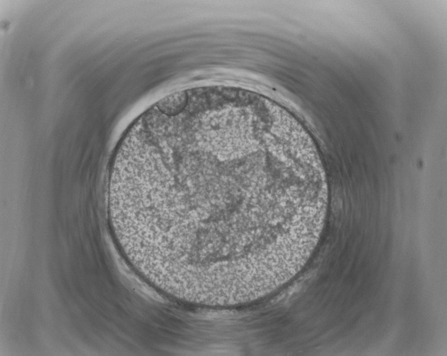 X0000086111522200704202253