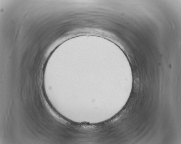 X0000086111523200704202253