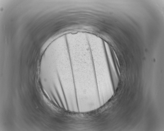 X0000086111524200704202253