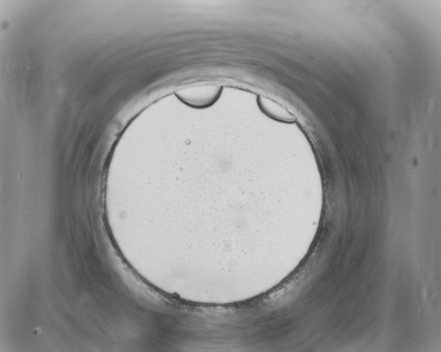 X0000086111526200704202253