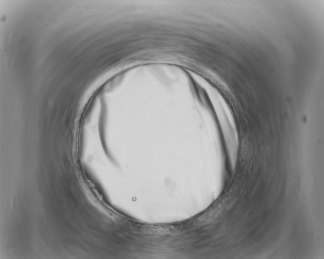 X0000086111528200704202253