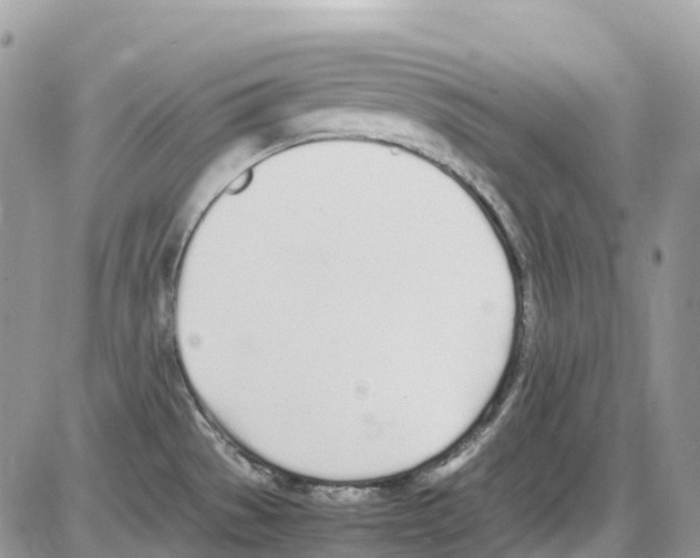 X0000086111529200704202253