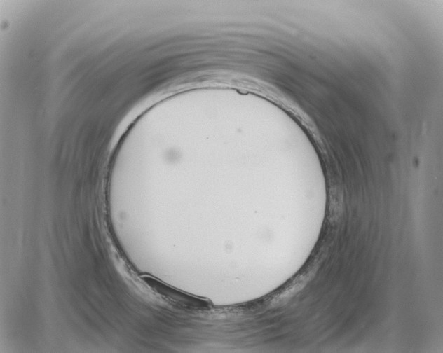 X0000086111530200704202253