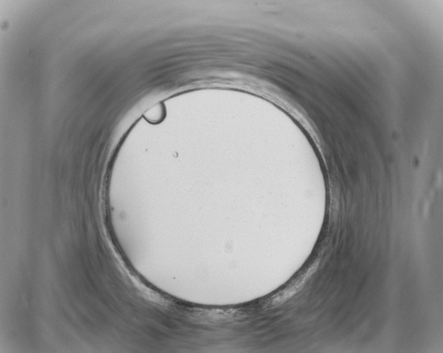 X0000086111533200704202253