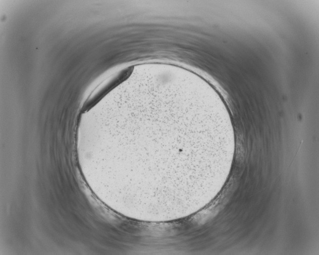 X0000086111534200704202253