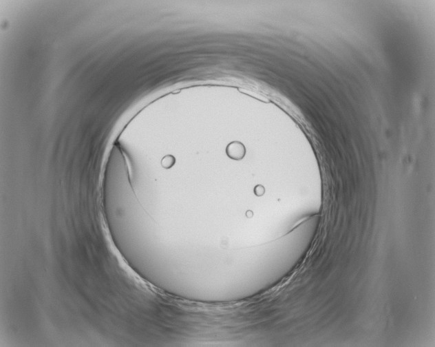 X0000086111536200704202253