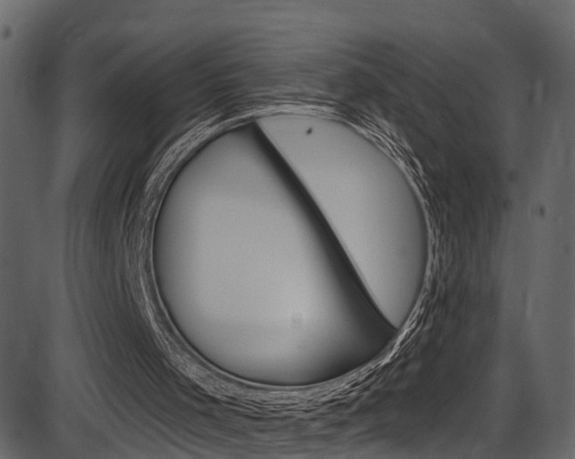 X0000086220001200703291016