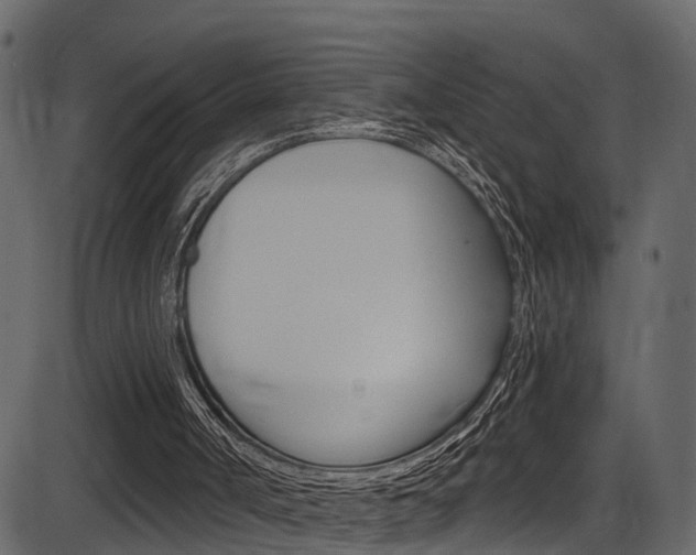 X0000086220002200703291016