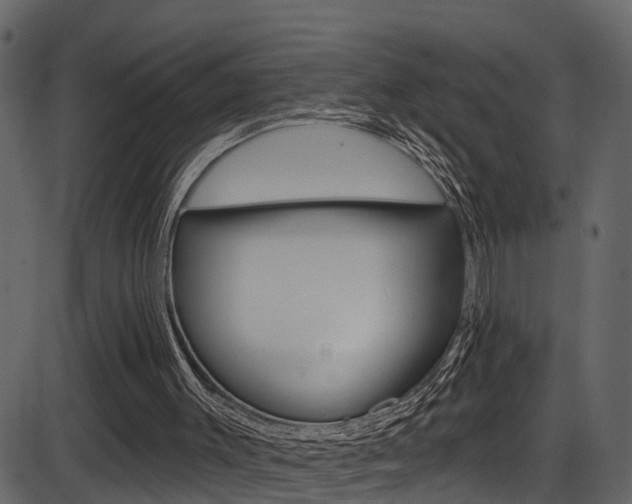X0000086220003200703291016
