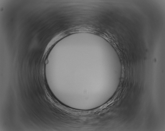 X0000086220004200703291016