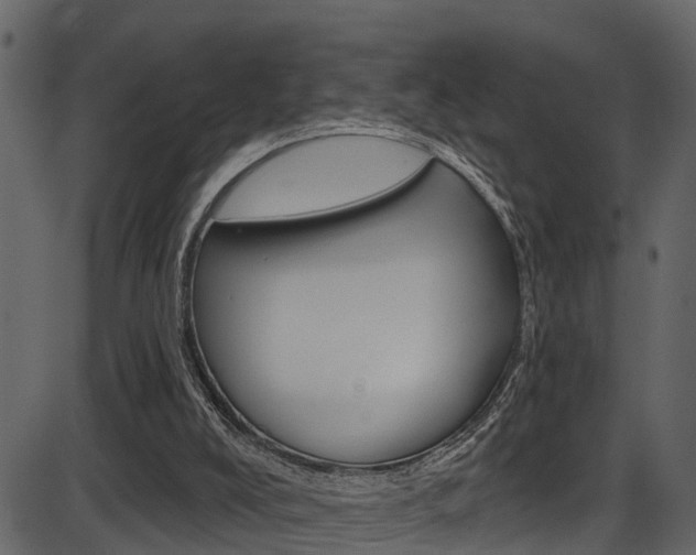 X0000086220008200703291015