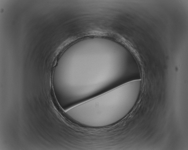 X0000086220011200703291015