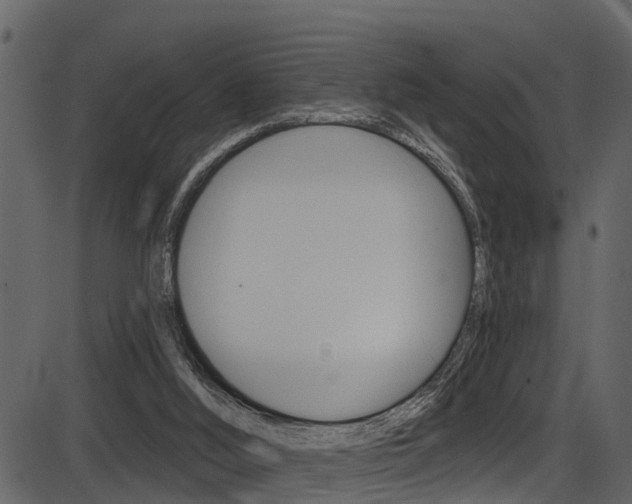 X0000086220012200703291015