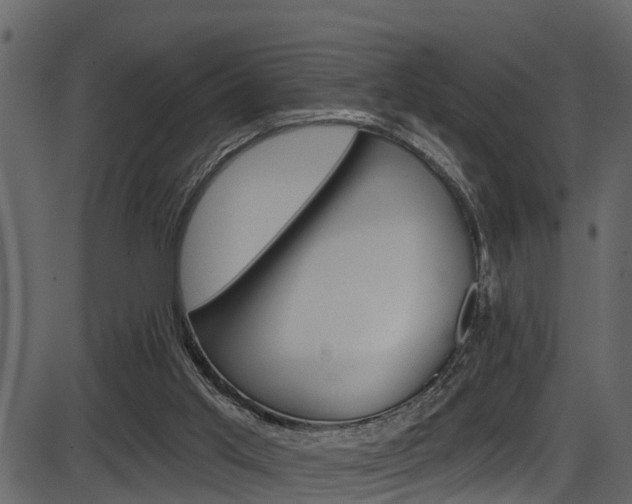 X0000086220013200703291015