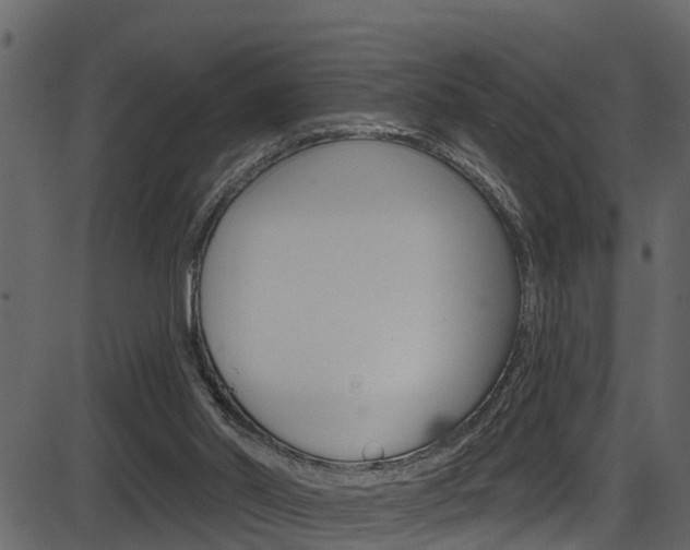 X0000086220014200703291015
