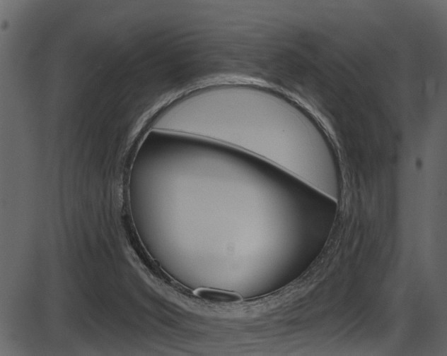 X0000086220015200703291015