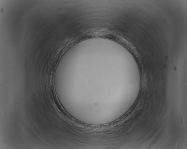 X0000086220018200703291015