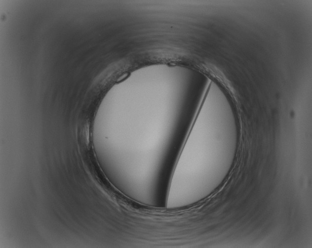 X0000086220021200703291015