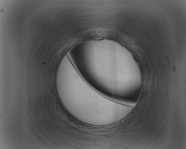 X0000086220027200703291015
