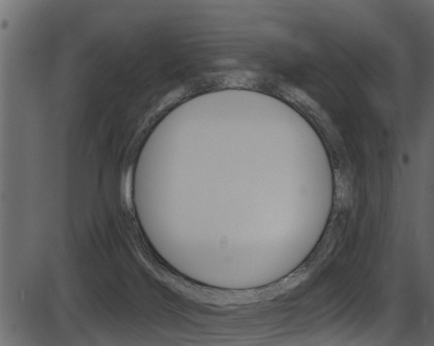 X0000086220028200703291015