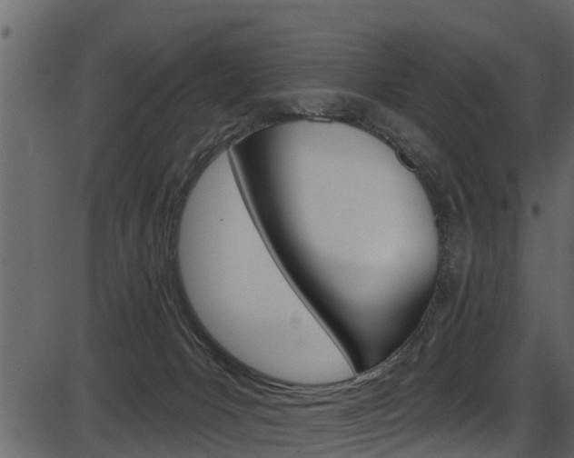 X0000086220031200703291015