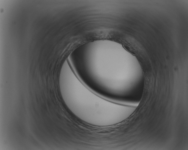 X0000086220035200703291015